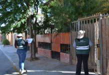 Frutales de invierno son foco de atención de campaña de control de mosca de la fruta en Copiapó