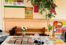 SEREMI de salud realiza campaña informativa por Aedes Aegypti en Cementerio Municipal