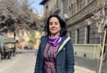 Marcela Araya Sepúlveda, Consejera Constitucional de Atacama