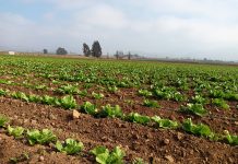 Comisión Nacional de Riego anuncia a regantes de Atacama y Coquimbo concurso para pueblos indígenas y el Plan Buen Vivir