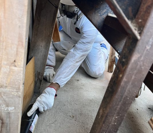 Municipio de Copiapó intensifica programa de desratización de emergencia
