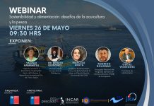 Sernapesca invita a participar en webinar “Sostenibilidad y Alimentación: desafíos de la acuicultura y pesca”