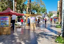 Seremi Minvu invita a Participación Ciudadana sobre mejoramiento de Plaza de Armas