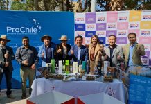 Invitan a la comunidad a participar en la Feria Regional del Pisco en Copiapó