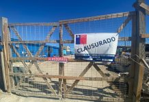 Nuevo golpe a la ilegalidad en la pesquería de algas: Clausuran por 5 días planta elaboradora en Caldera