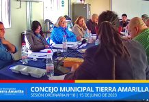 Municipalidad de Tierra Amarilla busca demandar a Minera Candelaria por daño ambiental