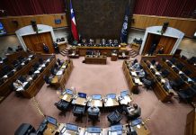 ¡En la recta final! Proyecto que crea el Servicio de Biodiversidad y Áreas Protegidas fue aprobado en la sala del Senado