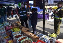 Retienen más de 420 kilos de distintos productos de riesgo fitosanitario en feria de Copiapó