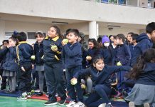Trampolín Alfadeca, libro para enseñar a leer y escribir a estudiantes con necesidades educativas especiales, se lanzó en la Región de Atacama