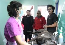 Municipio de Copiapó inició el Programa de Esterilización “Responsabilidad Compartida”