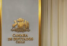 Diputado Mulet sobre renovación de licencias de conducir: “Esto permitirá bajar el atochamiento en los municipios”