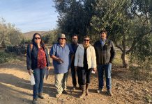 Fondo ProOlivo apoya a agricultora y realizan ensayo con productos de PH neutro para el lavado foliar.