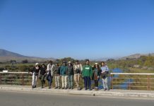 Con éxito se realizó el Censo Neotropical de Aves Acuáticas (CNAA) en la región de Atacama