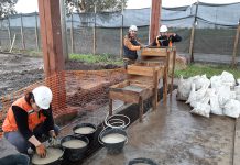 Presentan propuesta metodológica de excavación paleontológica para climas húmedos