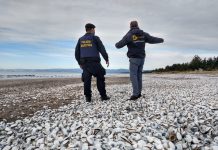 Sernapesca inició coordinación con organismos públicos y privados ante eventuales contingencias por la presencia del fenómeno El Niño