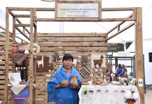 SernamEG Atacama refuerza llamado para postular a la X ExpoFeria de Mujeres Emprendedoras Indígenas