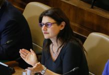 Diputada Sofía Cid afirma que el Gobierno debe dejar de lado su ideología e impulsar alianzas público-privadas