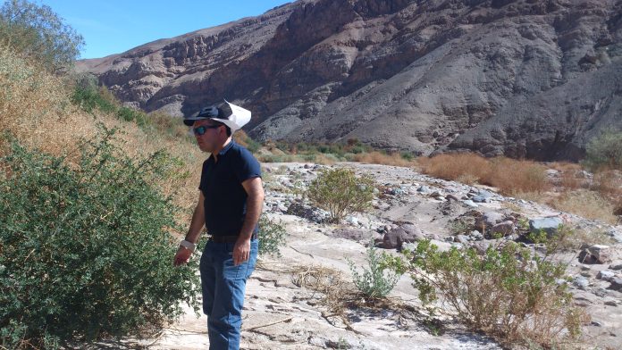 Chañar de Pachica, Quebrada de Tarapacá