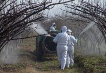 SAG anuncia prohibición de plaguicidas peligrosos y establece nuevas medidas para uso de agroquímicos más sustentables
