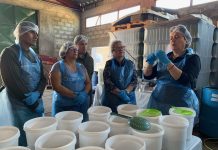 Usuarios del Fondo ProOlivo participaron en Taller práctico de Control de elaboración de aceitunas verdes aderezadas