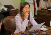 Diputada Cicardini reiteró llamado al gobierno a reconsiderar desvinculaciones en Salud: “Es un problema laboral que arrastra un problema sanitario”