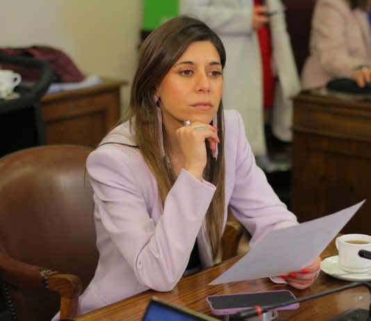 Diputada Cicardini reiteró llamado al gobierno a reconsiderar desvinculaciones en Salud: “Es un problema laboral que arrastra un problema sanitario”