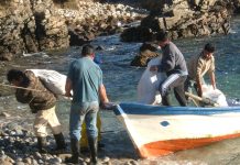 Indespa lanza programa para mejorar capacidad de gestión de la pesca artesanal y acuicultura