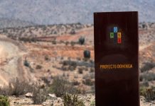 Argumentos presentados por el Servicio de Evaluación Ambiental en proyecto Dominga: “El Titular desvía la atención