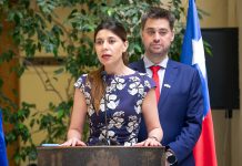 Diputados Cicardini y Manouchehri (PS) ingresan indicación para prohibir que deudores de pensión alimenticia ingresen a estadios