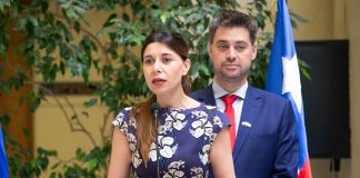 Diputados Cicardini y Manouchehri (PS) ingresan indicación para prohibir que deudores de pensión alimenticia ingresen a estadios
