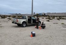 Carabineros de la subcomisaria de Caldera detuvo a dos sujetos quienes habían sustraído especies de una vivienda tras una llamado a fono 133