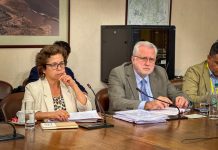 Ministra Williams destaca avances en la implementación de la Estrategia Nacional del Litio