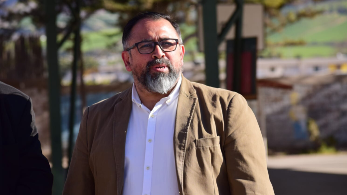 DIPUTADO PINO