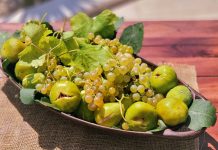 Estudio sobre dieta mediterránea reveló reducción en la circunferencia de cintura y parámetros metabólicos en pacientes con síndrome metabólico