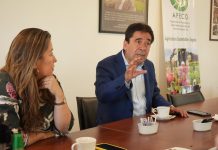 Gobierno Regional suspende temporalmente financiamiento a Corfo tras rechazo de System Approach para exportaciones de uvas