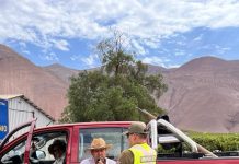 Durante festividades de fin de año: Carabineros reforzó controles vehiculares en diversos puntos de Los Loros