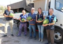 Agricultor familiar cuenta desde hoy con moderno camión para comercializar sus hortalizas en Copiapó