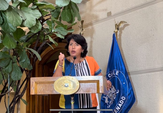 Senadora YPC en el Senado cuestionando la decisición de cierre temporal de la Fundición HVL