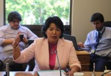Senadora Yasna Provoste encabeza proyecto de ley para combatir robo de cobre y minerales en Chile