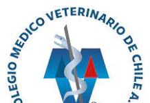 Diputada Sofía Cid junto a parlamentarias de RN firman carta pidiendo unión y trabajo coordinado con todas las fuerzas de centroderecha por el bien de los chilenos