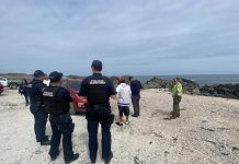 Sernapesca Atacama lideró operativo de fiscalización en Chañaral donde se incautó más de 16 toneladas de algas pardas