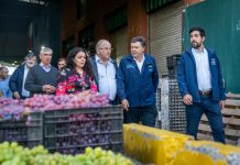 Agricultura familiar logró récord de ventas al Programa de Alimentación Escolar de Junaeb en 2023