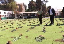 Nuevo decomiso de droga marca exitoso trabajo de Carabineros en Atacama