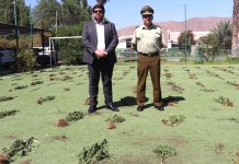 Delegado Luis Pino destaca el trabajo realizado por Carabineros contra el narcotráfico