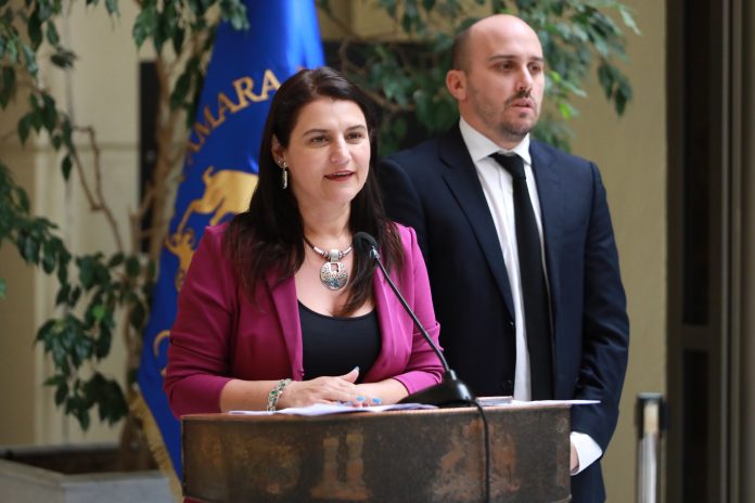 diputada sofia cid - delincuencia atacama