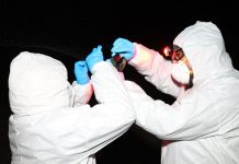 SAG utiliza tecnología GPS y mapas de dispersión espacial para vigilar brotes de influenza aviar