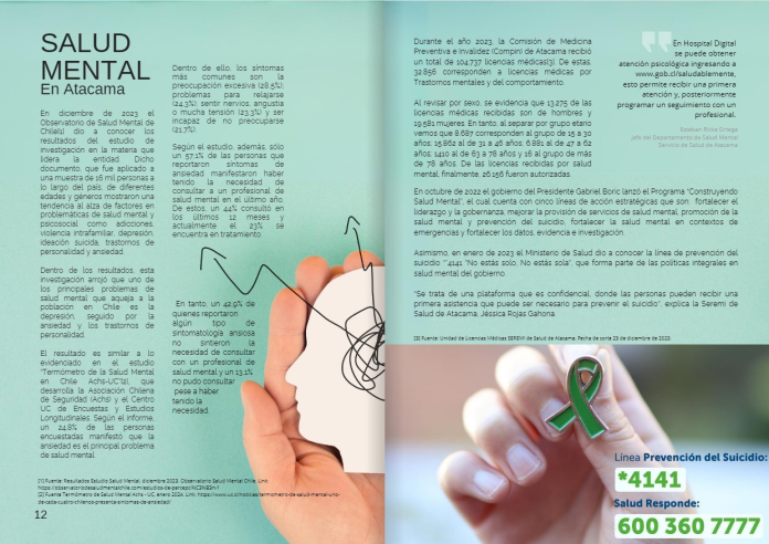 revista