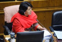 Senadores de Comisión de Educación denuncian falta de miles de matrículas, anuncian proyecto de ley, entregarán antecedentes a Defensoría de la Niñez y piden al gobierno actuar ante la emergencia educativa