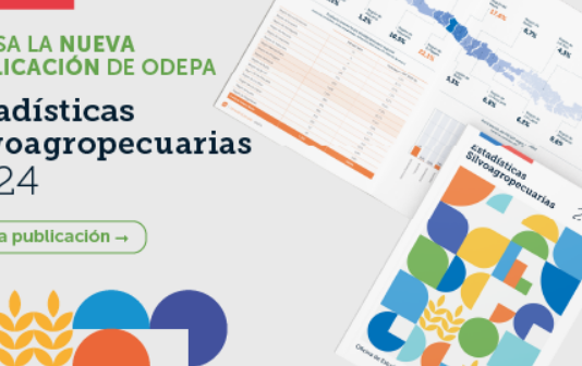 Estadísticas Silvoagropecuarias 2024: Sector aportó 2,8% al PIB Nacional durante 2022