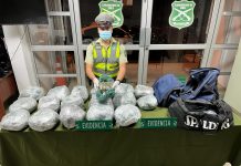 Control Carretero de carabineros en la Ruta 5 Norte detuvo a dos sujetos quienes conducían un móvil a alta velocidad y decomisaron 14 kg de Marihuana